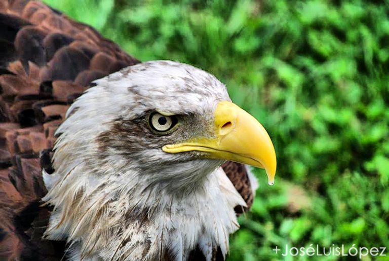 Parque de Cabárceno