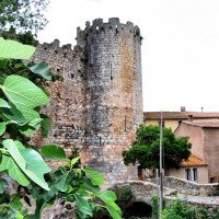 Ruta Castillos Cataros