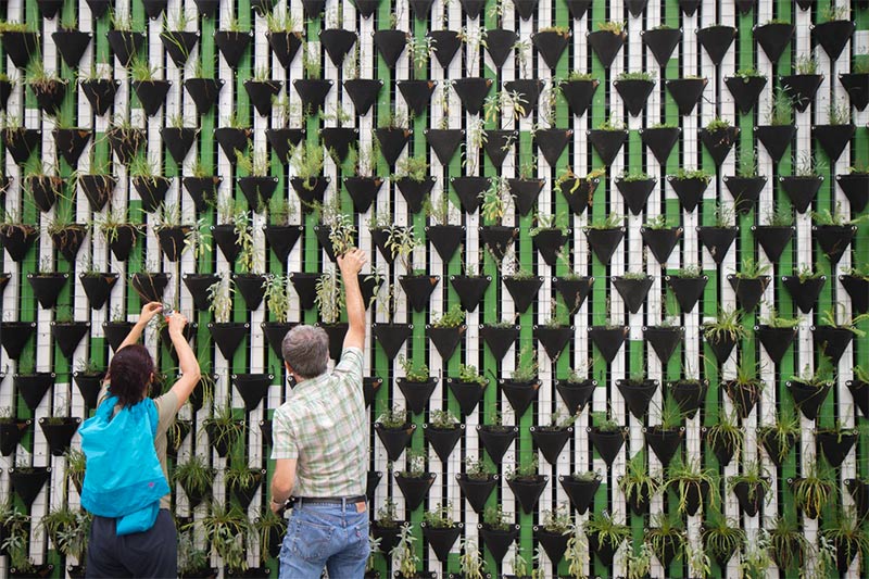 ¿Qué es el Contenido Evergreen?