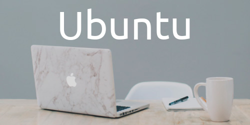 Elige un tipo de marca que represente tu voz